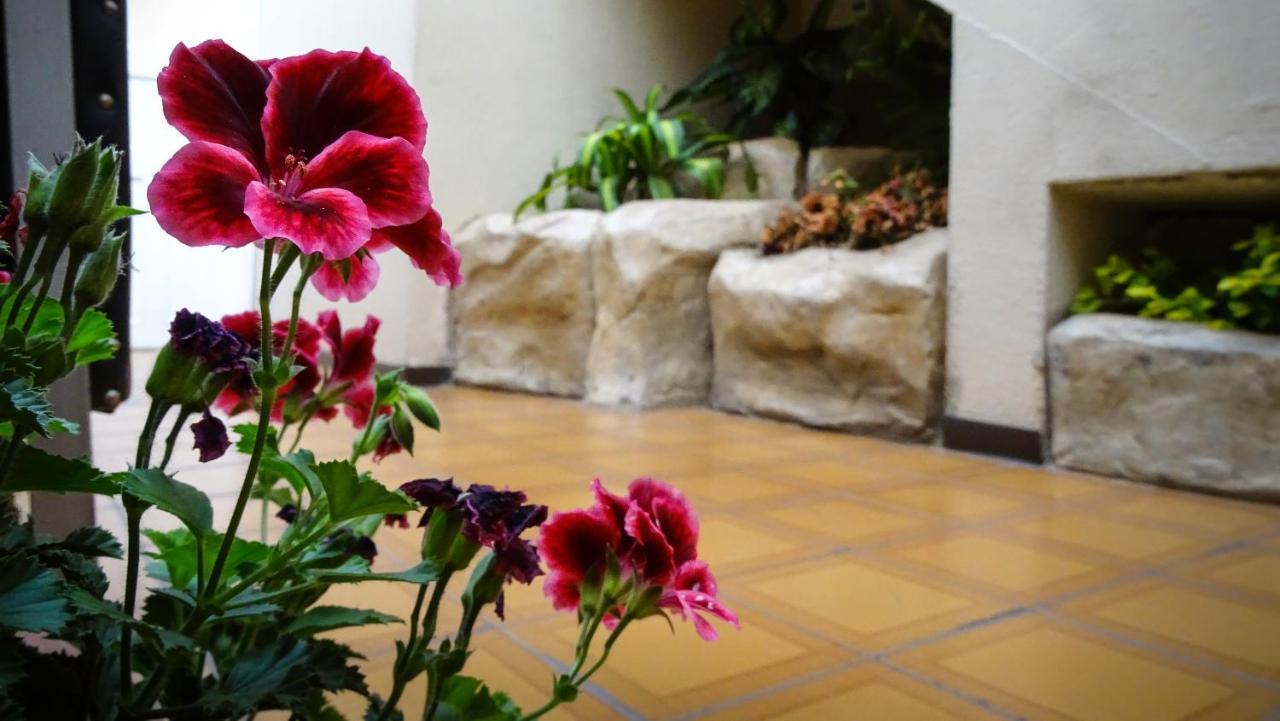 Hotel Mariscal Inn & Suite كوينكا المظهر الخارجي الصورة